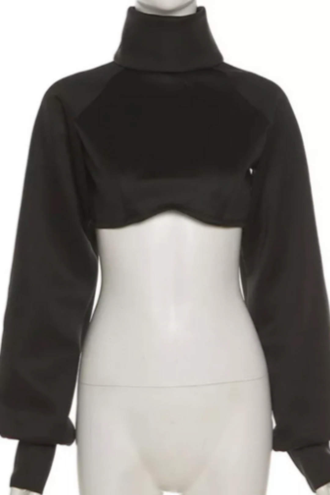 Black Corset Turtleneck Long Sleeve Crop Top